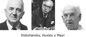 Dobzhansky, Huxley y Mayr